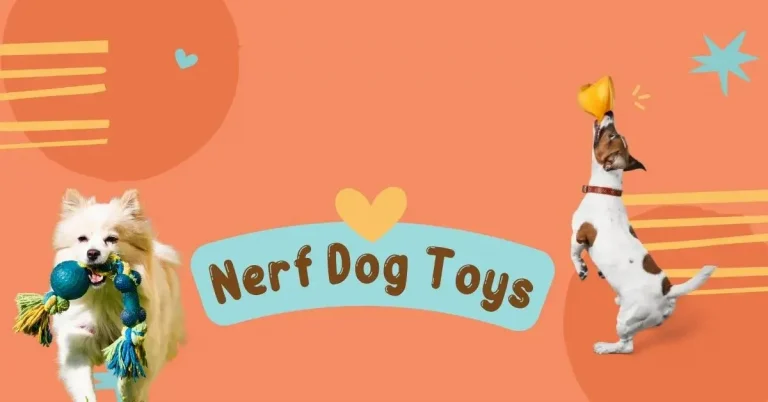 Nerf Dog Toys – List of Best Toys For Pets