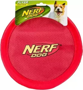 Nerf Frisbee