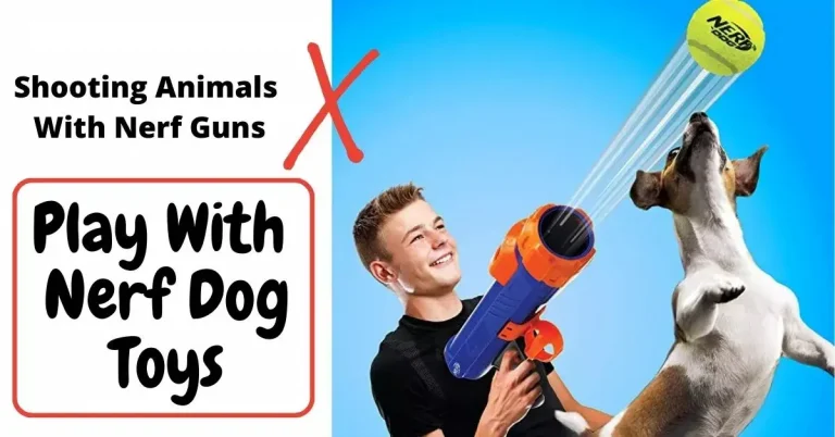 Don't shoot Animals With Nerf Guns