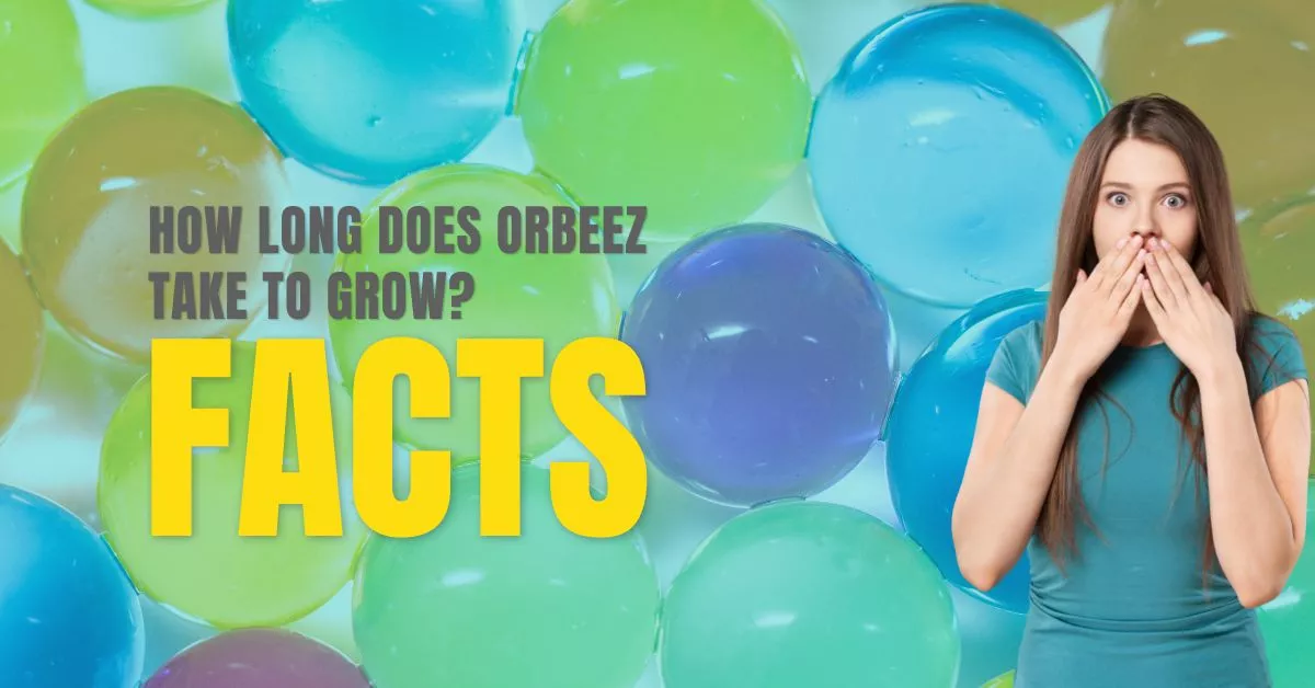 How Long does Orbeez Take to Grow