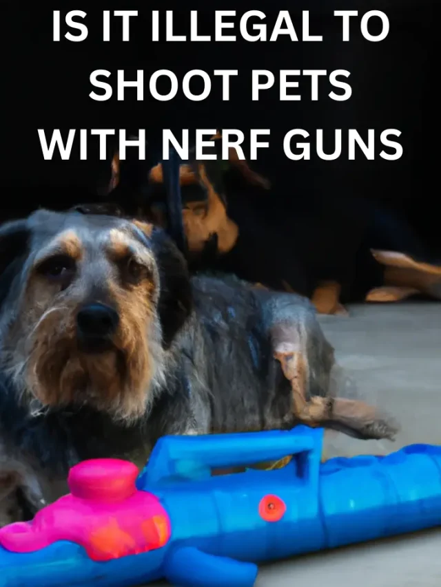 Is it illegal to shoot pets with nerf guns?