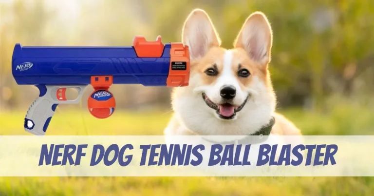 Nerf Dog Tennis Ball Blaster Review – Dog Training Gun