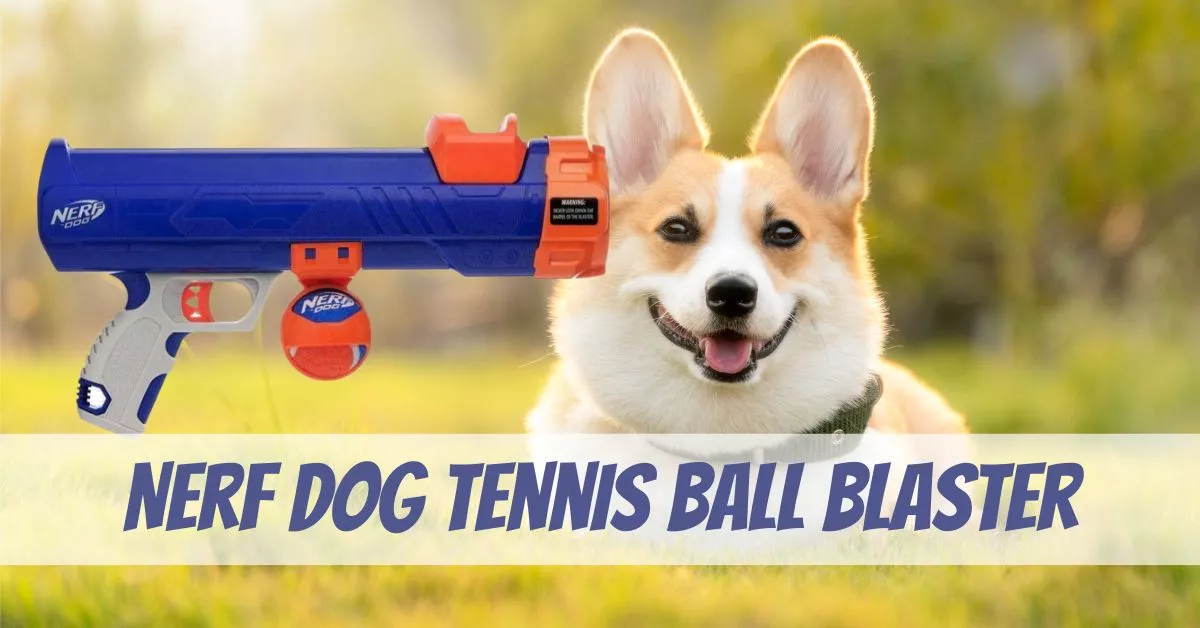 Nerf Dog Tennis Ball Blaster Review Dog Training Gun